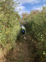 Suddenly away from concrete - north bank of the River Blyth, heading towards Mount Pleasant Farm